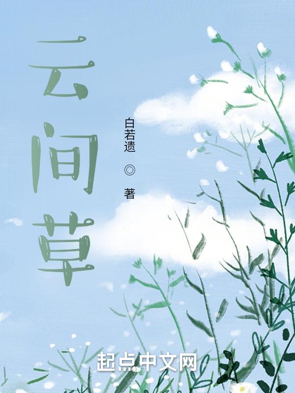 云间月张芷溪